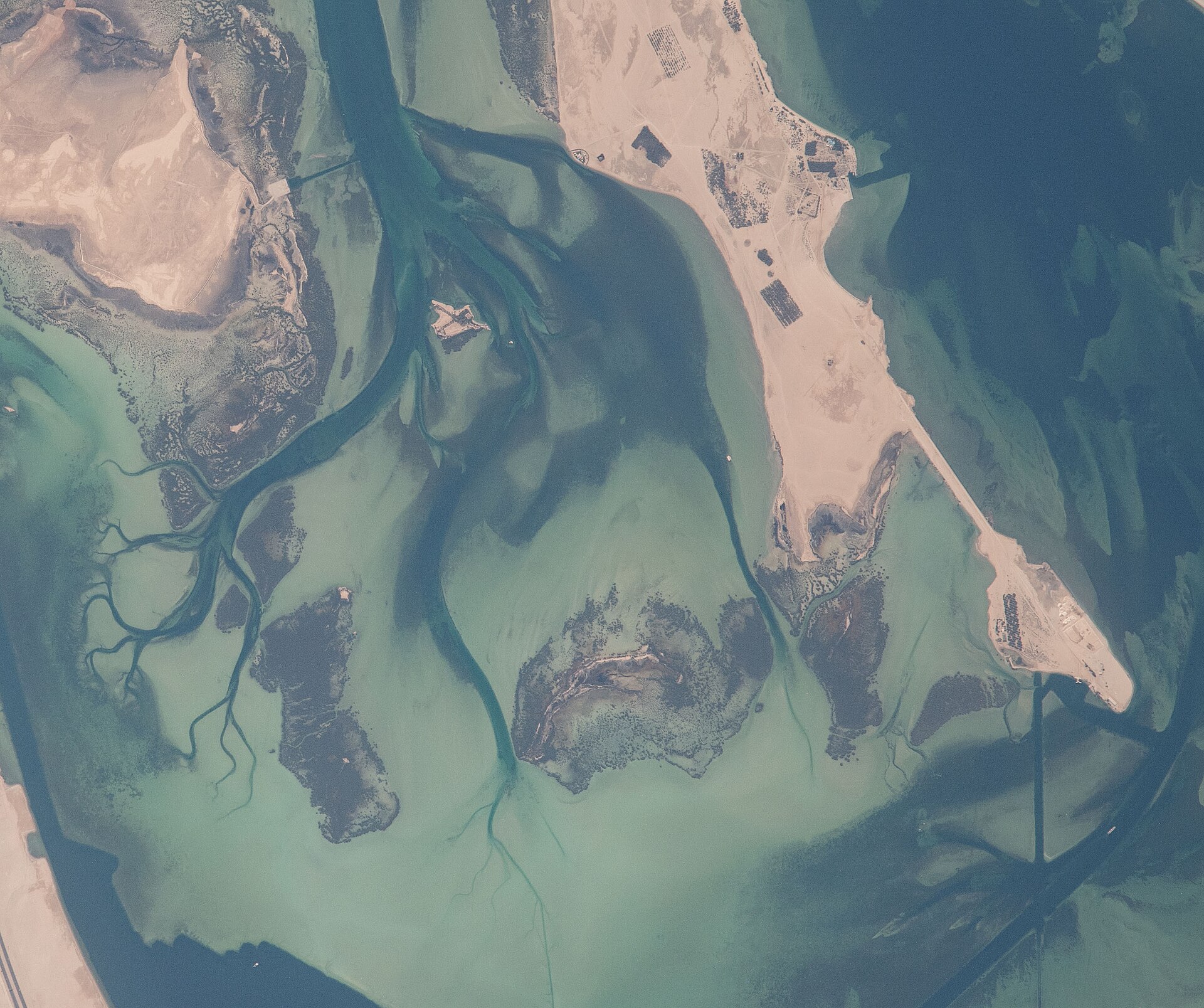Coastal rehabilitation of mangrove ecosystems